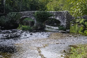 Fingle Bridge