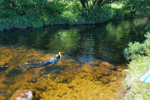 Wild Swimming Dartmoor