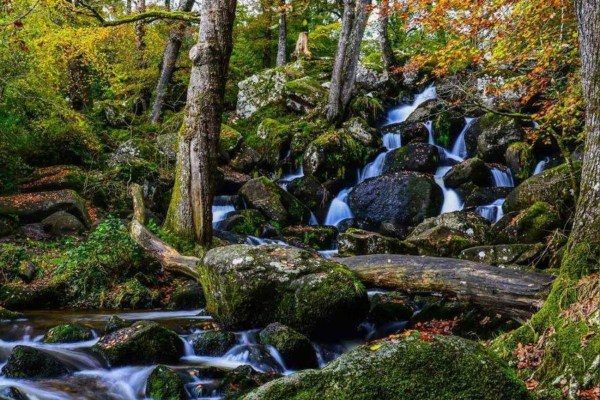 Becky Falls Dartmoor 600x400